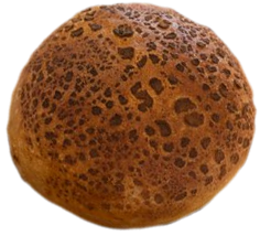 tijger